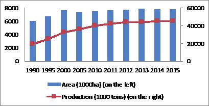 Rice production in Vietnam: Remarkable success but