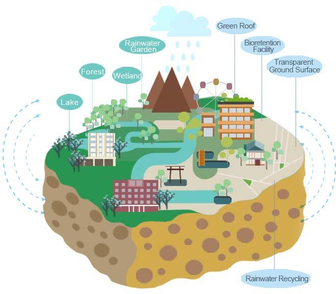A sponge city is one that can hold, clean, and drain water in a natural way using an ecological