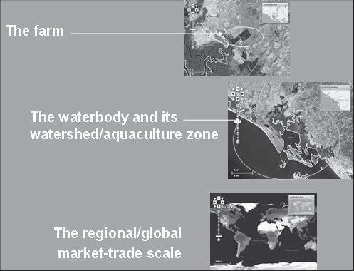 12 Figure 4 Relevant geographical scales for an EAA The farm The waterbody and its watershed/aquaculture zone The regional/global market-trade scale of stakeholders.