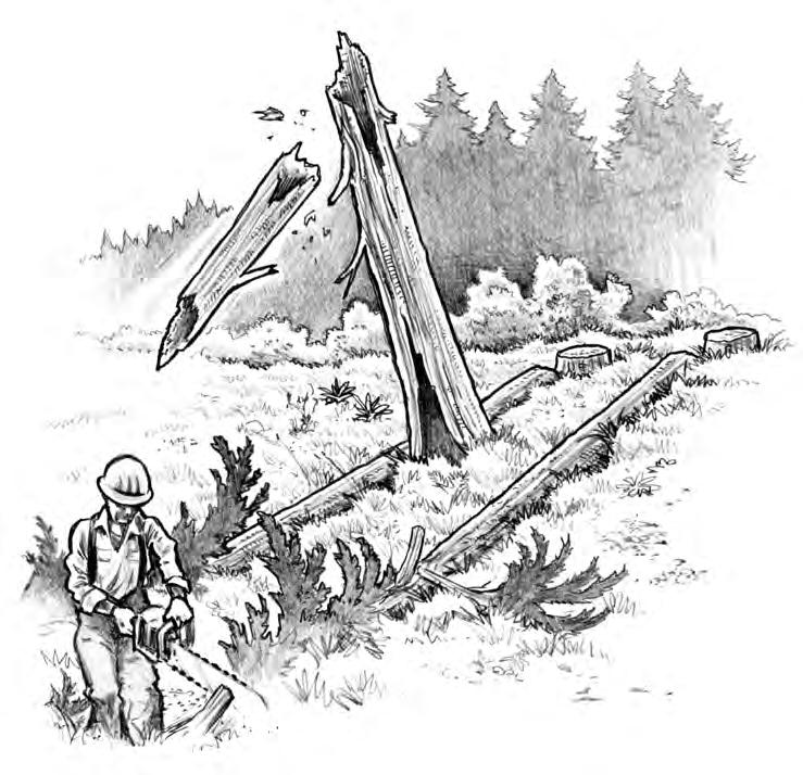 Oregon Fatality Assessment and Control Evaluation SNAGS 1-2 Bucking near a snag Washington County - May 9, 2003 A 52-year-old logger, working as a faller, was killed when the dead top of a snag broke