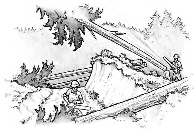 Oregon Fatality Assessment and Control Evaluation FALLING ZONE 1 Bucking in falling zone Lane County - Sep 5, 2003 A 50-yr-old logger, working as a faller, was killed by a falling tree.