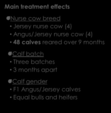 /2/217 Materials and methods Treatments Materials and methods Calf batch description Experimental design Main treatment effects Nurse cow breed Jersey