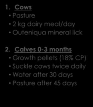 bulls and heifers 7 Figure 1: Cow 9-month lactation period layout of rearing six calves Cow 9-month lactation period 2 Calves 2 Calves 2 Calves Weaned