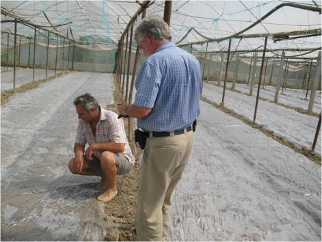 Soil Solarisation, a non chemical method to control root-knot nematodes (Meloidogyne spp) and improve the yield of greenhouse crops Protected crops are the main source of employment of several