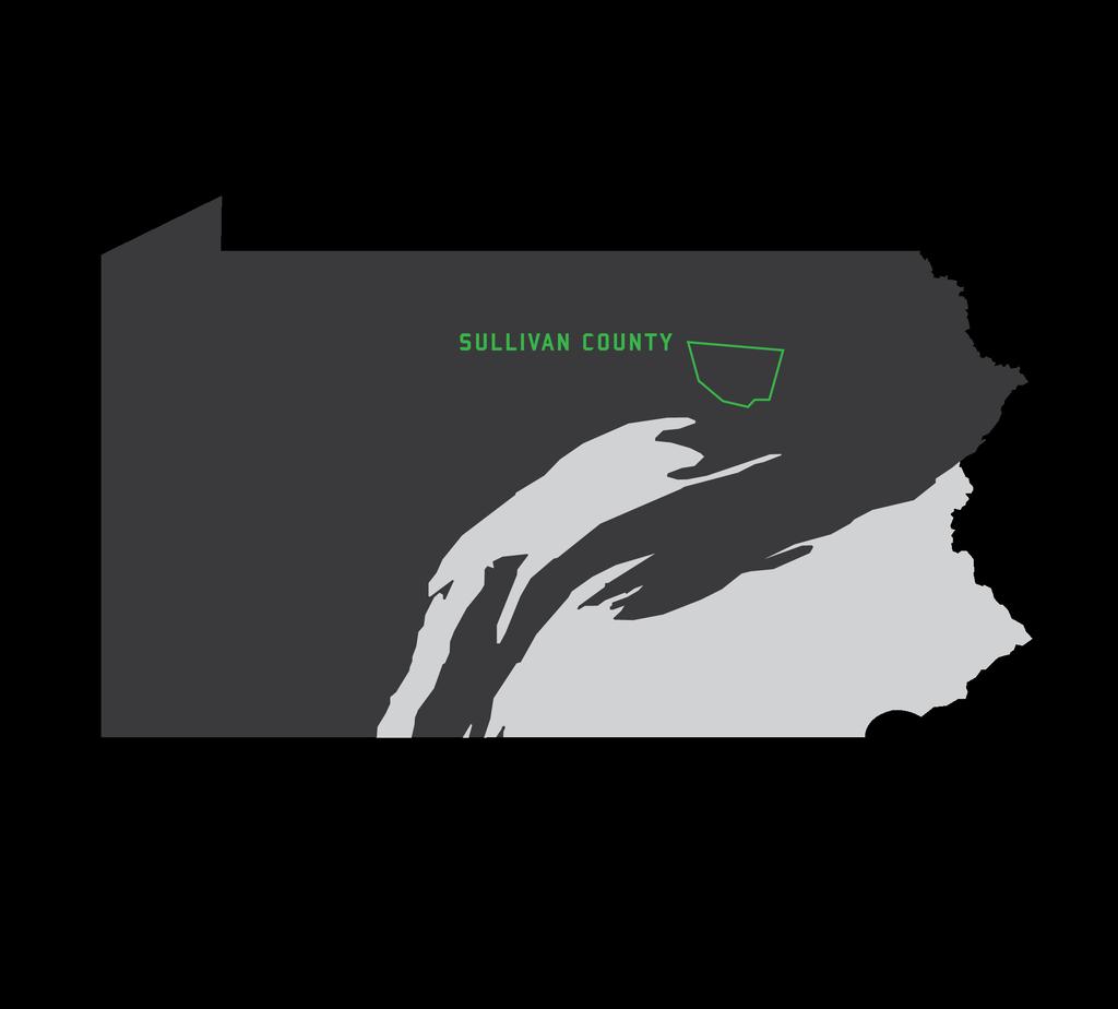 MARCELLUS CONTEXT The whole of Sullivan County lies within the Marcellus Shale play. As a result, gas companies have come to divide the county into separate lots for drilling and gas extraction.