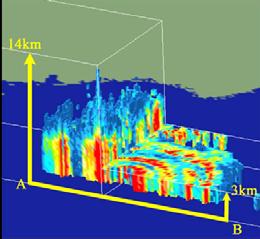 Three-dimensional observation of rainfall by PR Hurricane