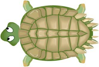Turtle Diagram - A Controlled Process Resources What? Resources Who? INPUT Receive What?