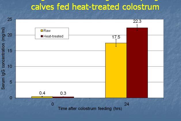 Serum IgG levels were significantly higher in calves fed heat-treated colostrum Godden et. al, 2006 Recent UMN Field Study M. Donahue, S.