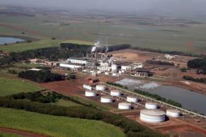 Typical Industrial Plant size: Thermochemical Biofuel Plants Sharing some facilities Sugarcane bagasse