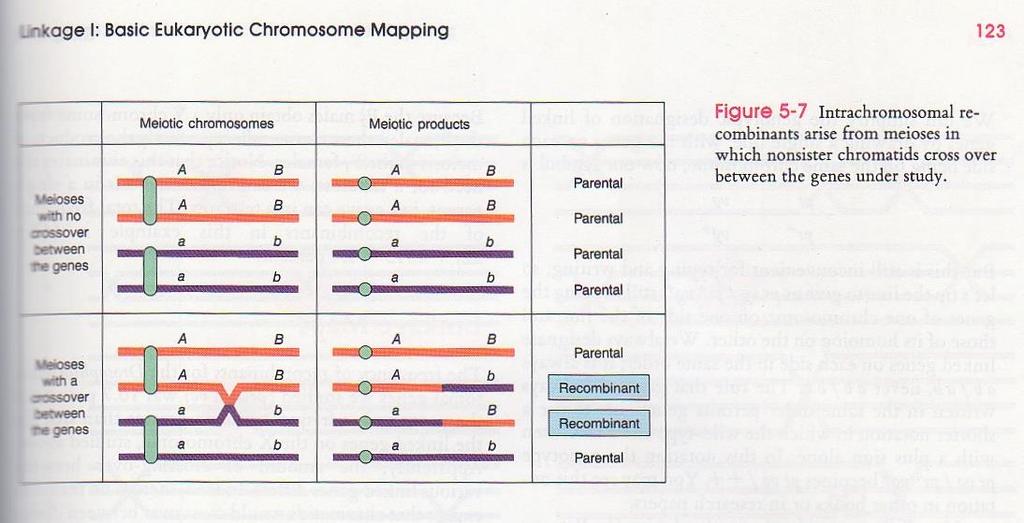 3 Phenotype analysis: biological-biochemical analysis