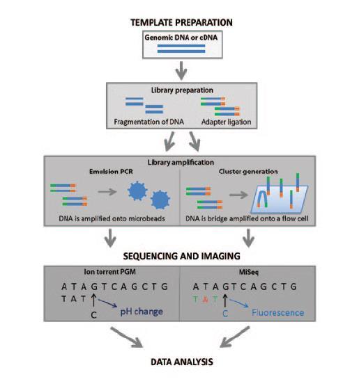 32 Next generation sequencing Journal of