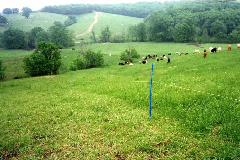 Grazing management Rotational system Allocate forage supply based on animal demand