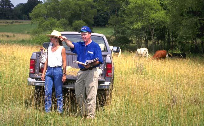 Considerations for managing grass-f inished cattle Keep in mind the winter challenge, and use winter annuals, grass silage, alfalfa hay, and stockpiling of summer pasture for winter grazing Think in