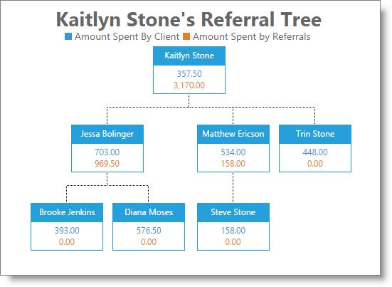 Report Example: Client Referral Tree This report shows a visual breakdown of