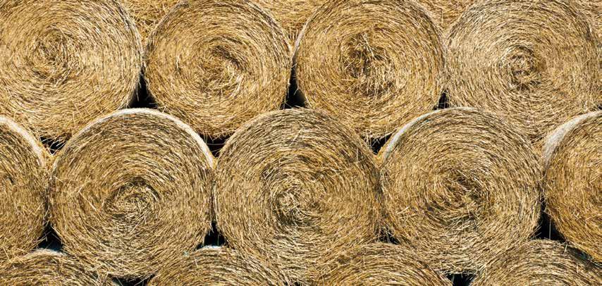 We know hay.