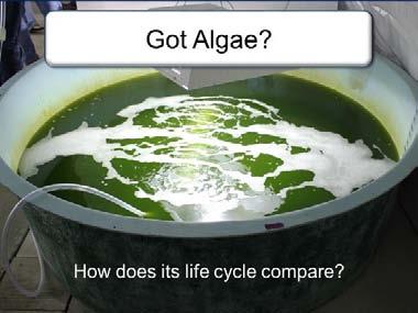 2007). Slide 9 Algae has been identified as a potential biofuel product because it does not compete with food crops and it has higher energy yields on a per area basis than terrestrial crops.