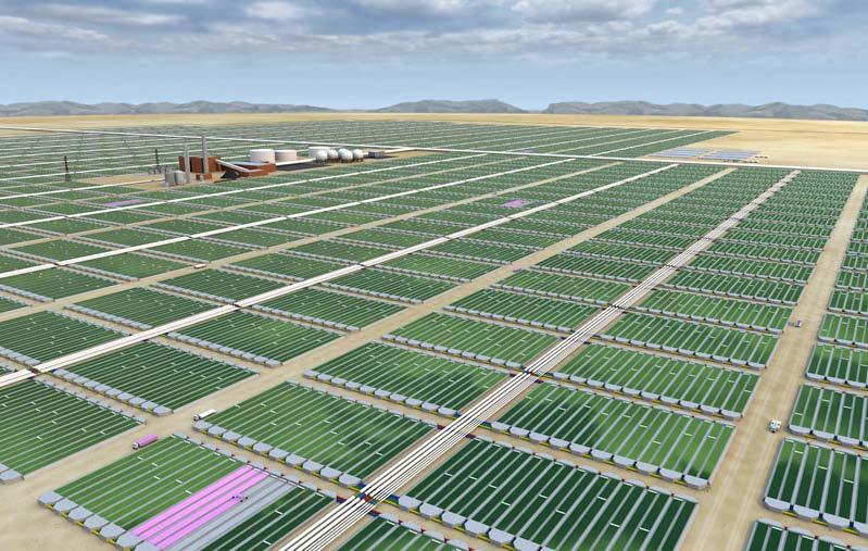 Algal biofuel production: The typical approach PetroSun algal farm,