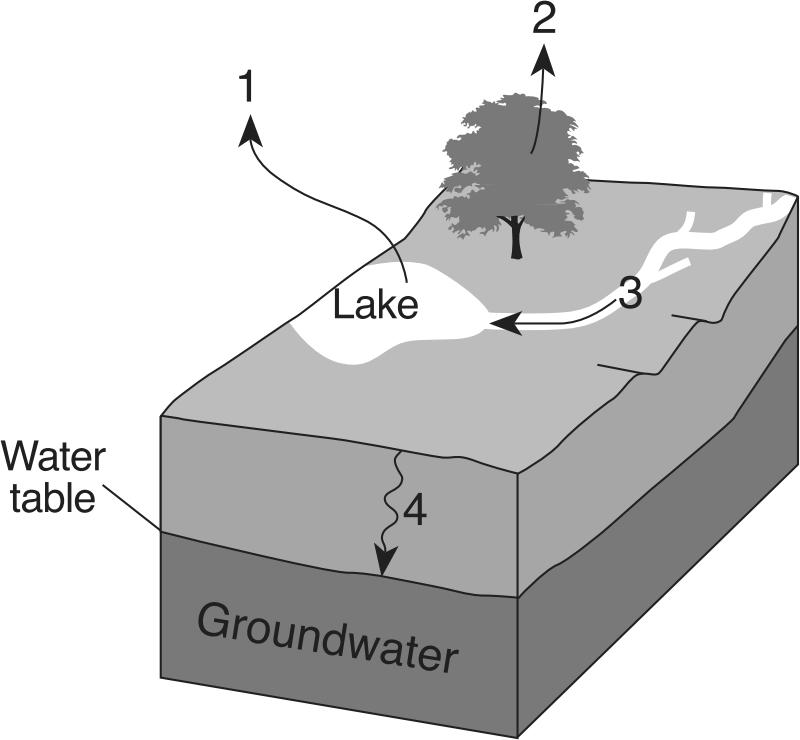 28. Base your answer(s) to the following question(s) on the diagram below, which represents Earth s water cycle. The arrows represent some water cycle processes.