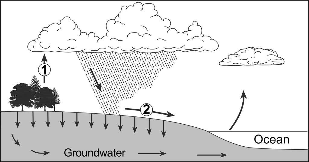 34. The arrows in the diagram below represent processes in the water cycle. Which processes in the water cycle are identified by the numbered arrows? A.
