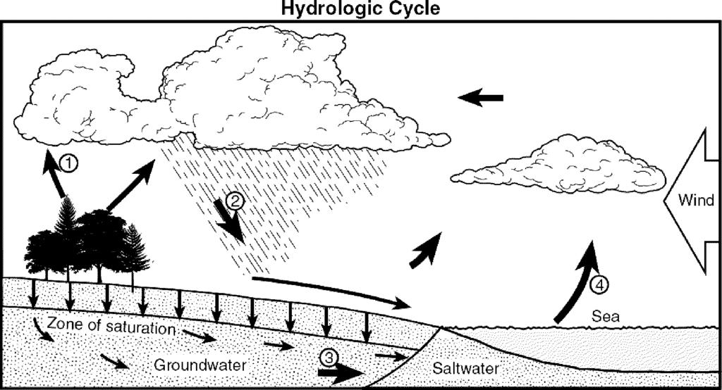 12. When rainfall occurs, the rainwater will most likely become surface runoff if the land surface is A. sandy B. impermeable C. covered with grass D. nearly flat 13.