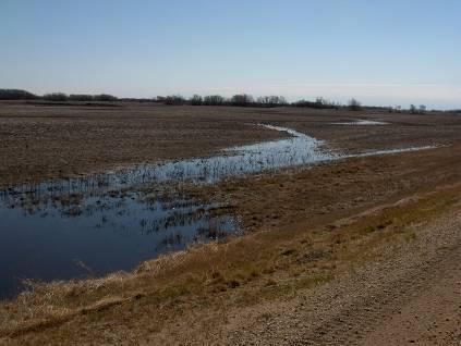 Prairie Runoff