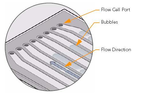 Illumina Flow Cell From