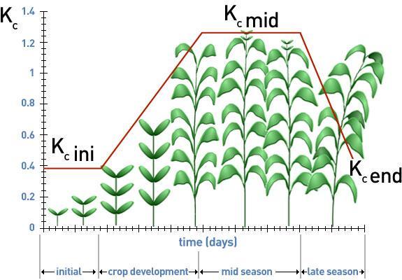 Fig-4: Image of the graph of the cultivation of corn crop Proposed Work: HARDWARE DESIGN OF PROPOSED SYSTEM In this paper we presented an advanced wireless sensor network for corn crop implementation