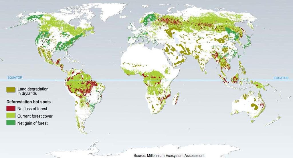 Desertification and deforestation The value of nature s services to humanity in 2011 amounts to USD 125 trillion per year.