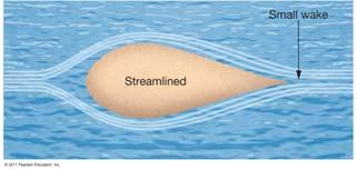 organisms to increase buoyancy Viscosity and Streamlining Adaptations