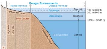 Water Pressure Pelagic Environment Increases about 1