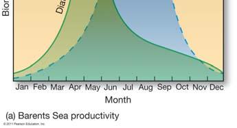 Polar Ocean Productivity Winter darkness Summer sunlight