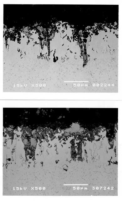 Further increase in the test duration to 1000 hours leads to the non-homogeneity in the coating with more root like scale growth across the coating structure.