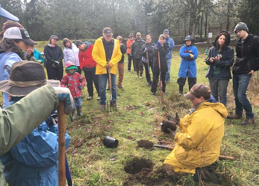 Willamette River Basin UPPER AND MIDDLE WILLAMETTE WATERSHED, OREGON February 2018 planting timeline 40,000 trees funded by Enterprise 2018 will be the
