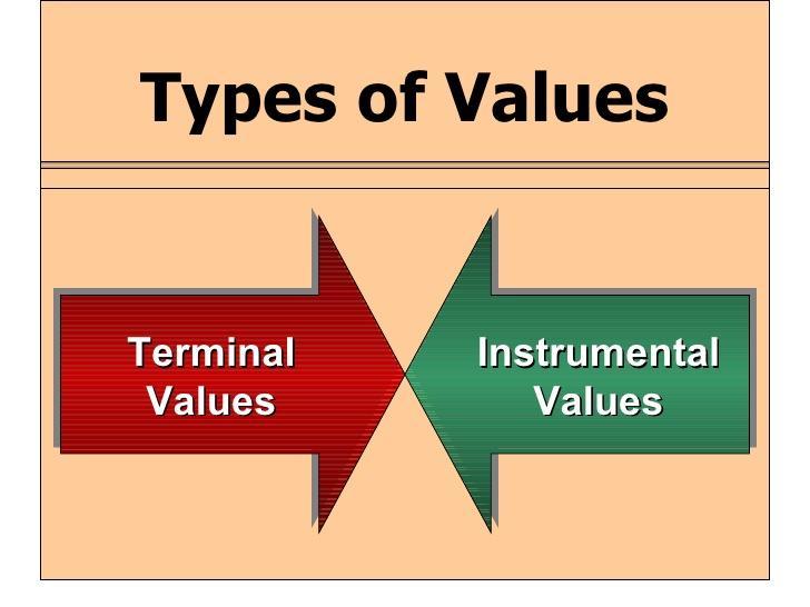 1. Terminal values: These leads to ends to be achieved. A terminal value is an ultimate goal in a desired status or outcomes, e.g. comfortable life, family, security, self- respect and freedom, etc.