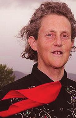 Qs and As with Temple Grandin, Ph.D. Do livestock know they are being slaughtered?