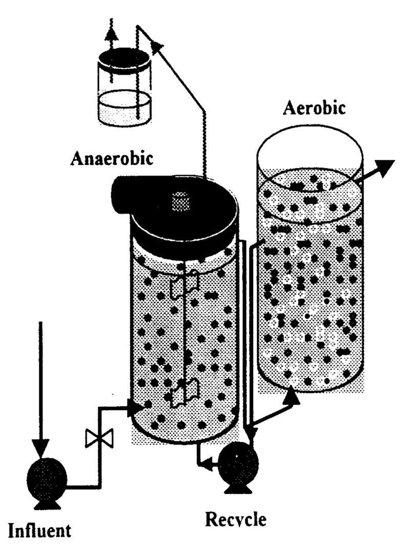 biofilm reactor (Pastorlli et al., 1999). In such reactor the biofilm is growing on a carriers circulating inside the tank.