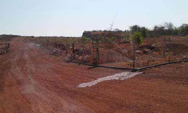 Afforestations at Umbershet Bauxite Mine.