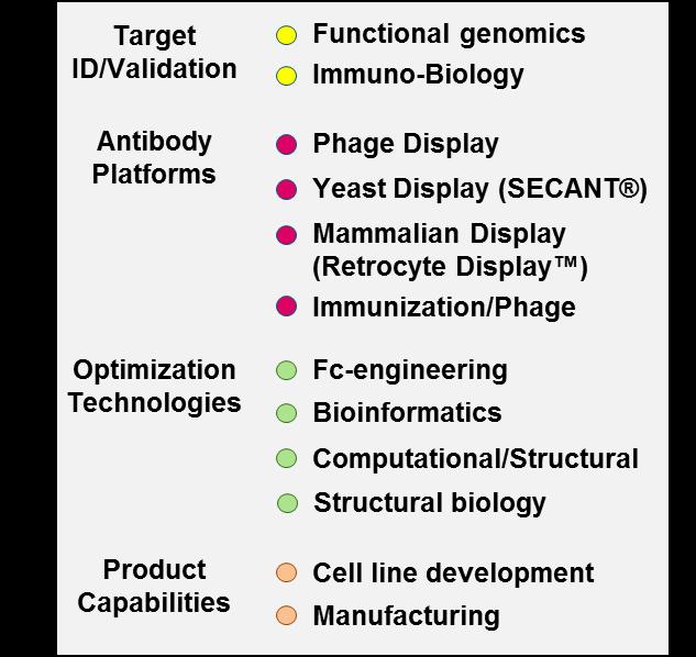 High Throughput Discoveries; 6 New Clinical Programs in ~2yrs* ASSET HIT DISCOVERY HIT OPTIMIZATION LEAD OPTIMIZATION CELL LINE DEVELOPMENT Undisclosed bispecific #1 Treg depletion, agonist