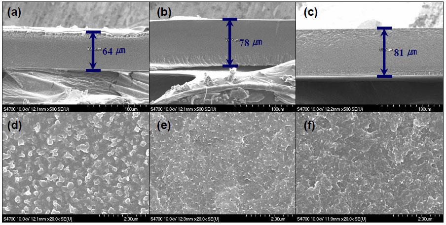 240 Proceedings WHEC2010 and 1(c) are shown in Figure 1(d), 1(e) and 1(f). These SEM results confirm the incorporation of polystyrene in the pores of PFA films.