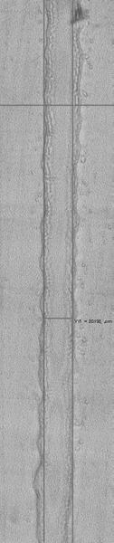width (L w ): ~20 µm Line thickness: 2-3 µm As the sheath gas flow increases, overspray
