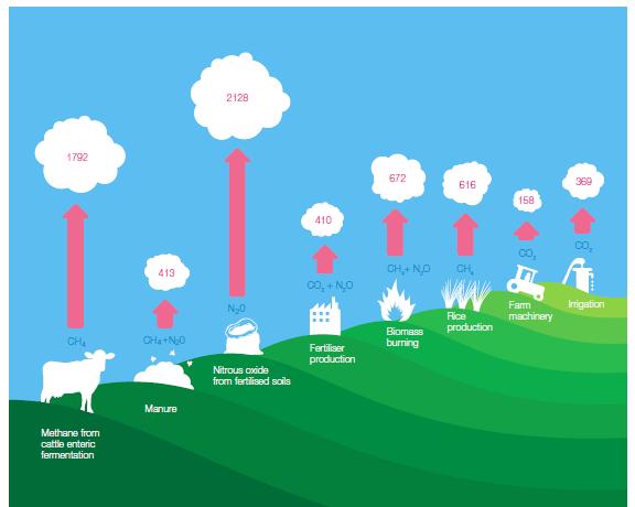 Agricultural greenhouse gases