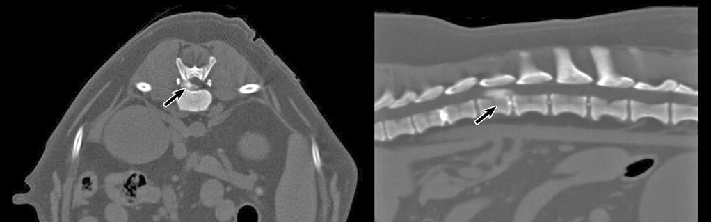 PRINCIPLES OF CT AND MR IMAGING Marc-André d Anjou, DMV, DACVR Faculty of Veterinary Medicine, University of Montreal Saint-Hyacinthe, Quebec, Canada CT and MR imaging offer superior diagnostic