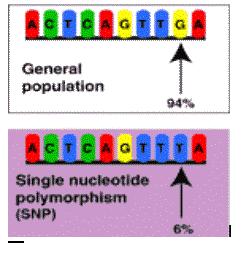 variations are SNPs Mutation If the variation