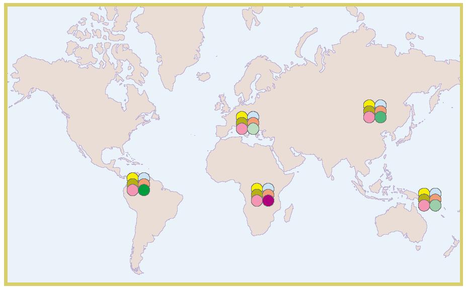 Genetic polymorphisms can be used to predict the population of origin of an individual Global distribution of genetic diversity.