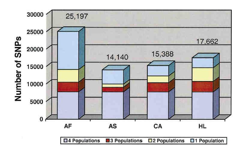 Population distribution of 37 582 SNPs discovered in 2036 genes. Degree of population sharing is indicated.