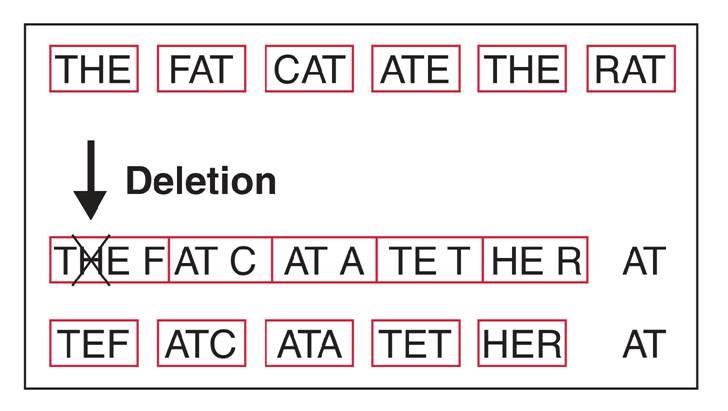 Kinds of Mutations In a deletion, the loss of a single