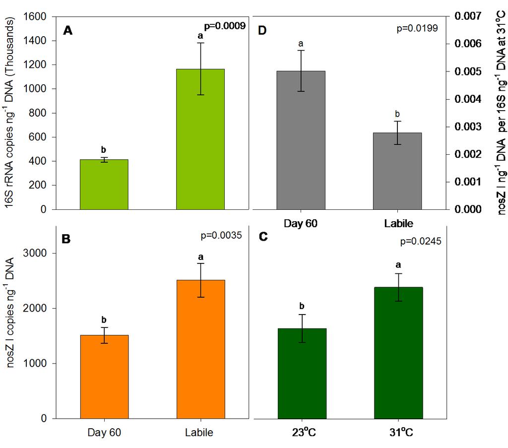 Labile Amendment Microbial Community Response Glucose increases populations nosz abundance responds differently