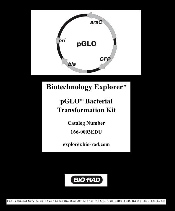 pglo From Wikipedia, the free encyclopedia http://en.wikipedia.org/wiki/pglo The pglo plasmid is an engineered plasmid used in biotechnology as a vector for creating genetically modified organisms.