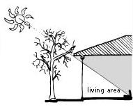 building. Building should be preferably single banked; if double banked, adequate provision must be made for good cross ventilation. Fig.17. Roof design Fig.18.