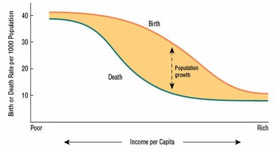 Population Projections & The Demographic Transition As income rises, first death rates and then birthrates fall.